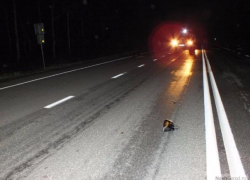 Водителя авто, раздавившего женщину на обочине, ищут в Криулянях 