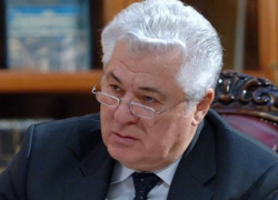 Владимир Воронин о Майе Санду: эта женщина бьется, как рыба об лед