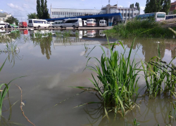 В Бельцах ливень затопил автовокзал