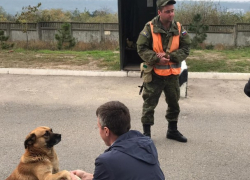 Дорина Киртоакэ в Приднестровье ждал один лишь пес Рыжик