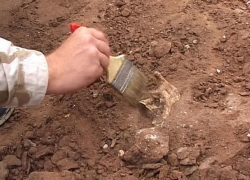 В Приднестровье обнаружены останки двух человек – взрослого и ребенка 