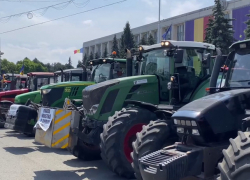 Аферист «кинул» фермеров на полмиллиона леев