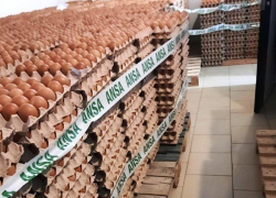 Из-за следов антибиотиков с рынка изъяли и уничтожили более 130 тысяч яиц