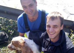 Упавшую в канализационный колодец собаку спасли в Кишиневе