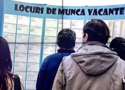 В Молдове требуются более десяти тысяч работников в разных сферах