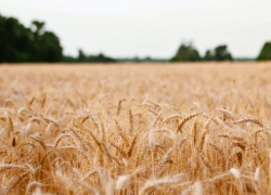 Украина грозит Молдове болезненными решениями