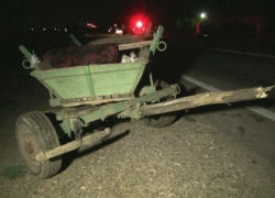 Водитель Mercedes сбил насмерть повозчика и лошадь 