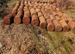 Не по-офицерски: саперы Нацармии присваивают результат работы поисковиков и вынуждают их раскошеливаться