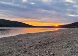 Уровень воды в Днестре достиг критически низких значений