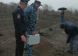 Человеческие останки обнаружил на своем дачном участке житель Приднестровья