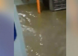 Ливень затопил кишинёвский троллейбус, люди буквально плавали по салону