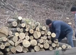 На севере нуждающимся людям начали выдавать дозированно дрова для обогрева