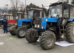 «Фермеры» оказались политизированным формированием