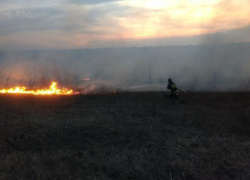 За последние 24 часа потушено 82 очага пожаров растительности