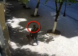 В центре Кишинева засняли мужчину с ворованной сумкой