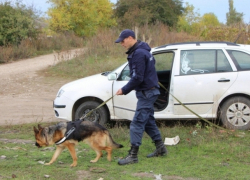 Угон автомобиля разыграл замеченный на месте кражи винограда житель Глодян 