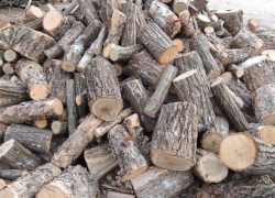Спрос на древесину превышает запасы