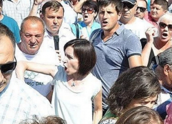 Тезис про фальсификации выборов отражает весь цинизм Санду, - Цырдя