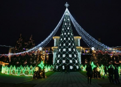 Где купить новогодние ёлки от Moldsilva и сколько они стоят в этом году