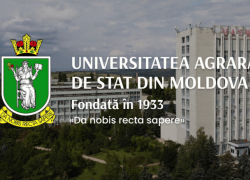 Фонд Сороса может прикарманить землю Аграрного университета