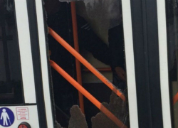 Курьезный инцидент в Бельцах: собака граненым стаканом разбила дверь троллейбуса