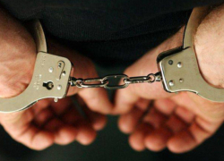 Случай с девочкой, родившей в 11 лет: арестован ее 46-летний отчим