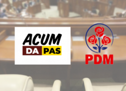 Лянкэ пытается убедить ACUM создать альянс с демократами