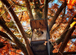 Дожди не прекратятся – погода в Молдове на среду 