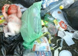 Мертвого младенца в пакете обнаружила женщина в Кишиневе