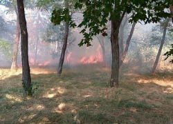 На Скулянке произошло возгорание растительности