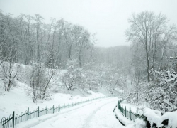 Снег и ветер – погода в воскресенье, 23 января 