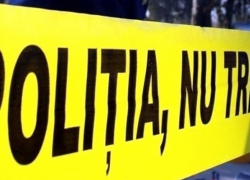 В Сынжере обнаружено тело мужчины со следами укусов животных 