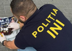 Из Украины в Молдову пытались провезти наркотики под видом собачьего корма