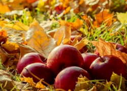 Воскресенье в Молдове будет по-летнему жарким 