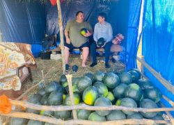 Спыну удивил большим арбузом