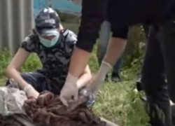 В Приднестровье нашли труп младенца, убитого собственной матерью 10 лет назад 