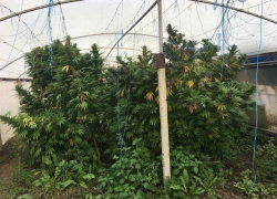  Крупнейшую спецоперацию против наркомафии в Молдове показали на видео