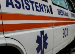 В Молдове двое двухлетних детей съели пшеницу, обработанную средством для отравления крыс 