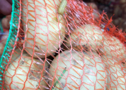 Картофель с живой «начинкой» вернули в Румынию