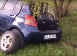 В аварии у села Драсличены пострадал ребенок