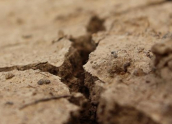 В Молдове планируют создать приложение, связанное с сейсмической опасностью