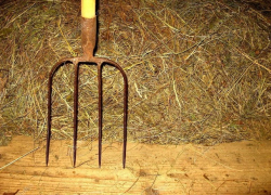 С вилами на соседа: В Теленештах молодой парень чуть не убил пенсионера