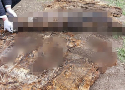 Сын с мамой убили мужчину и закопали труп во дворе