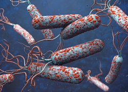 Ждать ли в Молдове холеры от разрушения Каховской ГЭС? Разъяснения от представителя НАОЗ