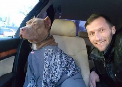 Огромная собака закрыла изнутри машину, разволновала хозяина и стала героем дня в Кишиневе