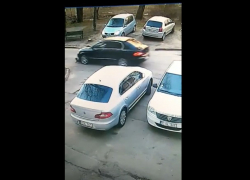 18+ В Кишиневе водитель цинично наехал на собачку и скрылся