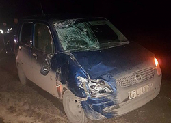 Возвращавшийся с работы велосипедист погиб под колесами иномарки в Фалештах