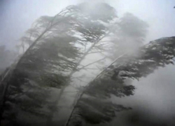 В Молдове объявлено штормовое предупреждение – погода в понедельник 