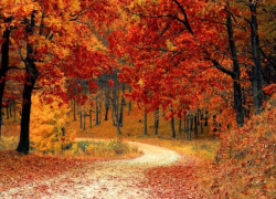 Конец летним температурам. В Молдове наступает похолодание