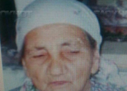 В Садова разыскивают пропавшую 2 недели назад 88-летнюю старушку 